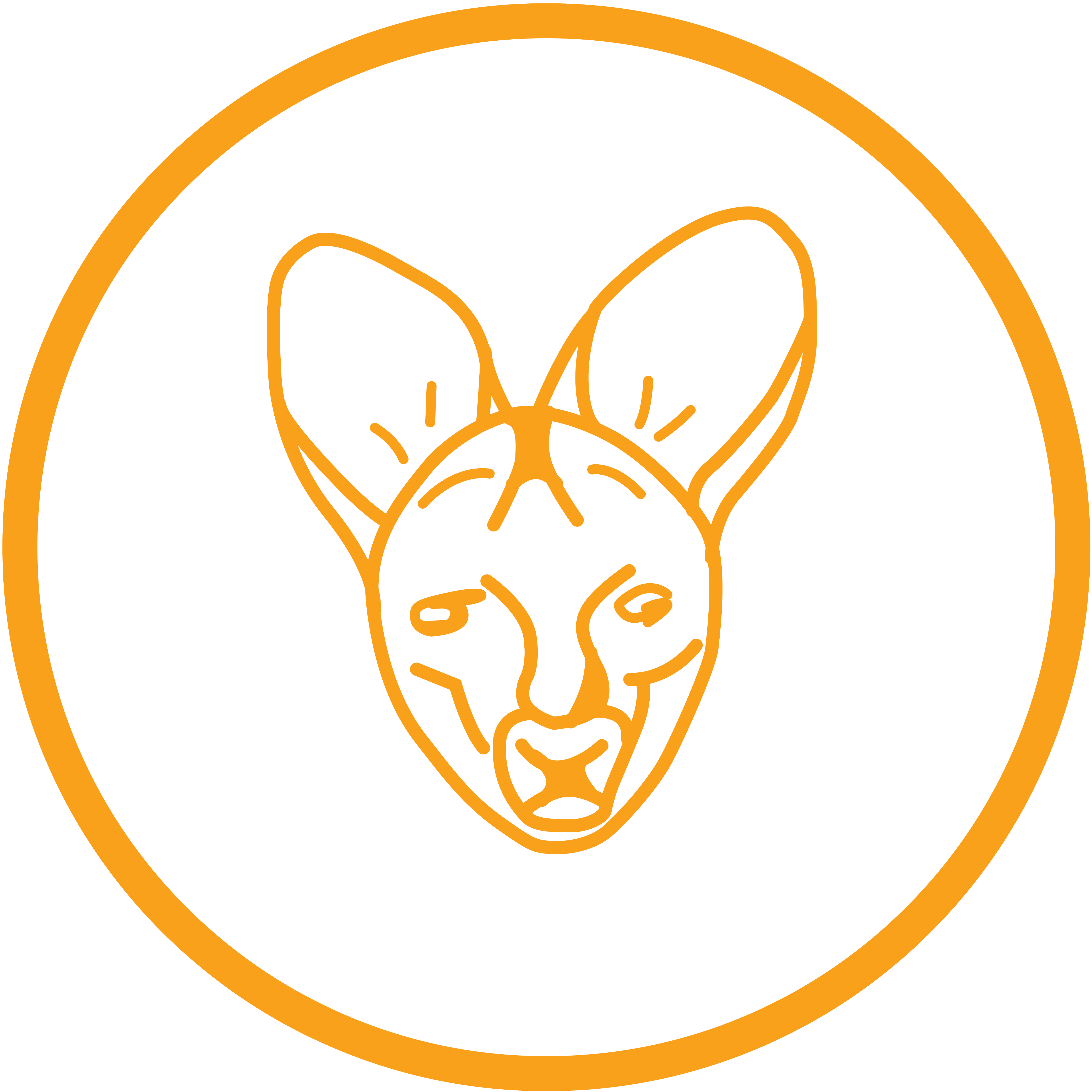 Wallaroo Camping Hire